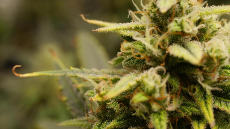 +++BREAK-UP CAKE AUTO+++. Week 9