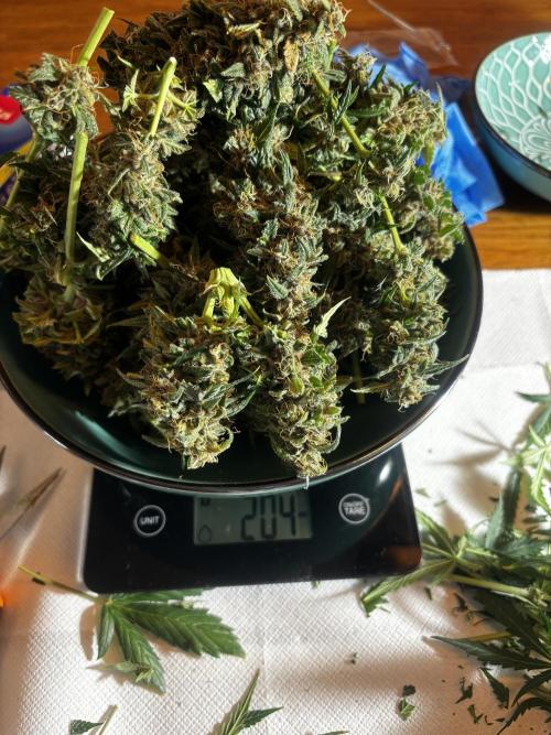 +++BREAK-UP CAKE AUTO+++. Week 10