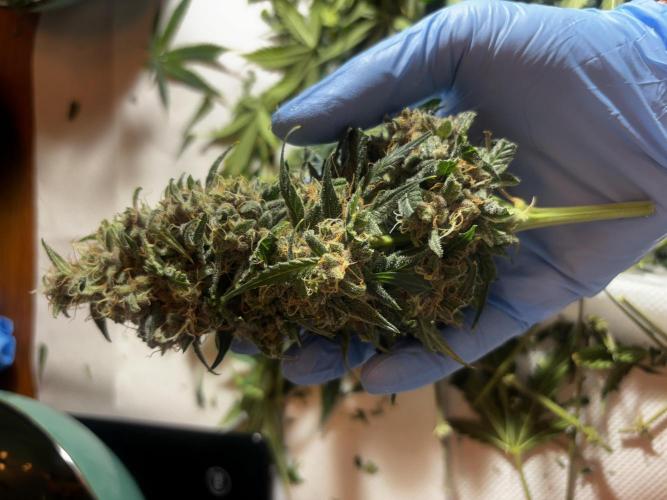 +++BREAK-UP CAKE AUTO+++. Week 10