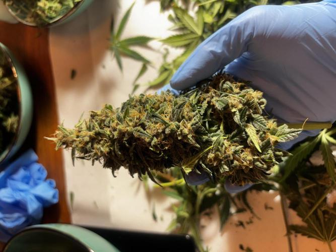 +++BREAK-UP CAKE AUTO+++. Week 10