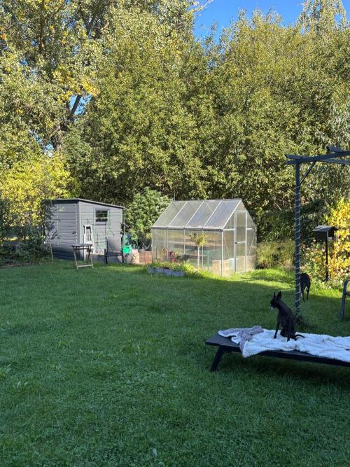 °°°A.M.S. OUTDOOR°°°. Week 20