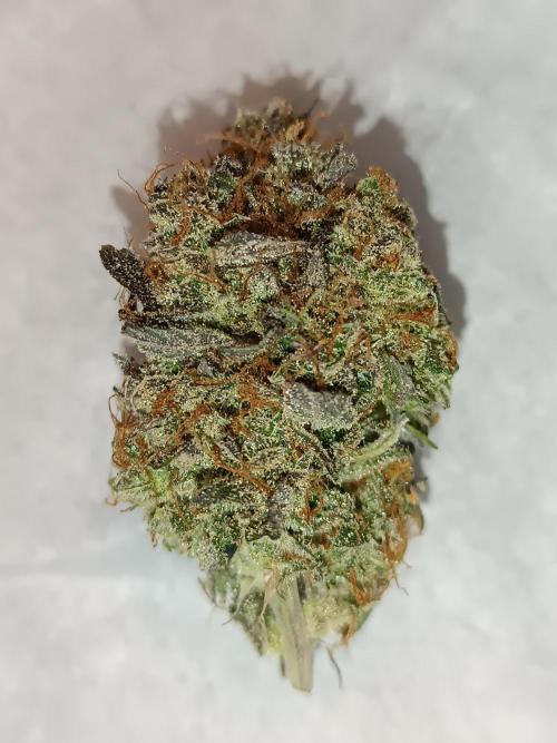 Chaos Cake auto. Week 11