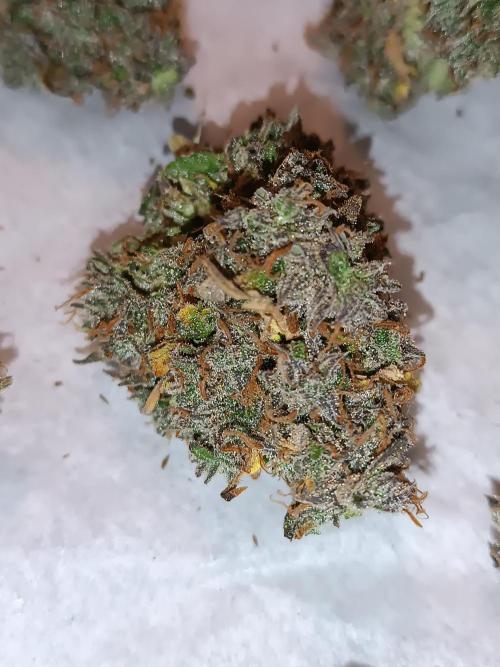 Chaos Cake auto. Week 11