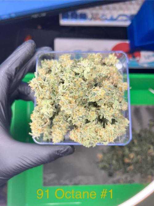 91 Octane - Exotic Genetix. Week 20 - 11/4 #1