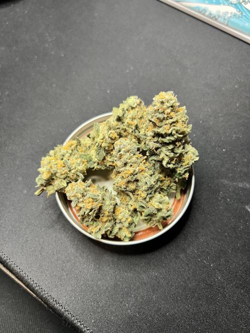 91 Octane - Exotic Genetix. Week 20 - #2 cured