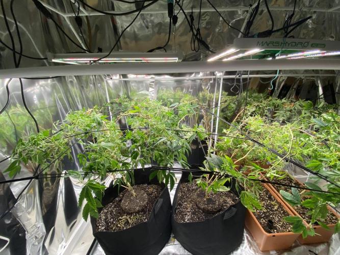 Organic Reg Photos. Week 1