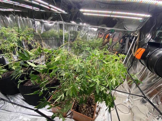Organic Reg Photos. Week 1