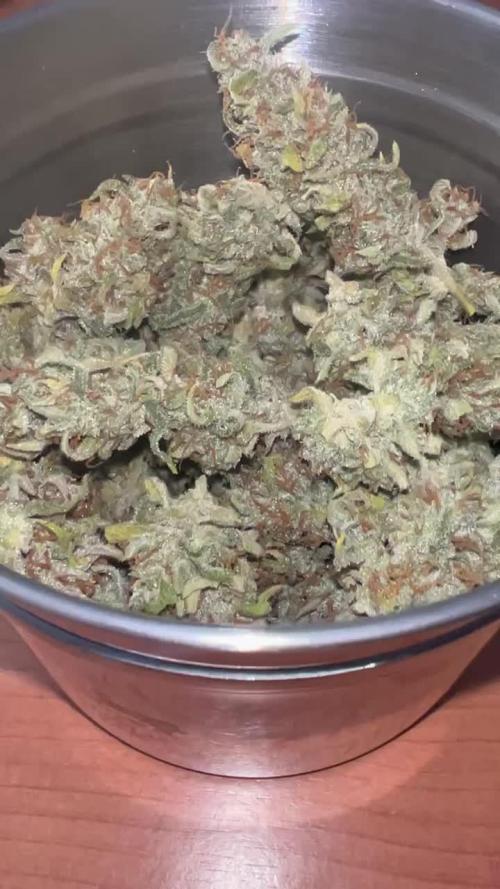 AK Triple Haze - XL Autopot Indoor 