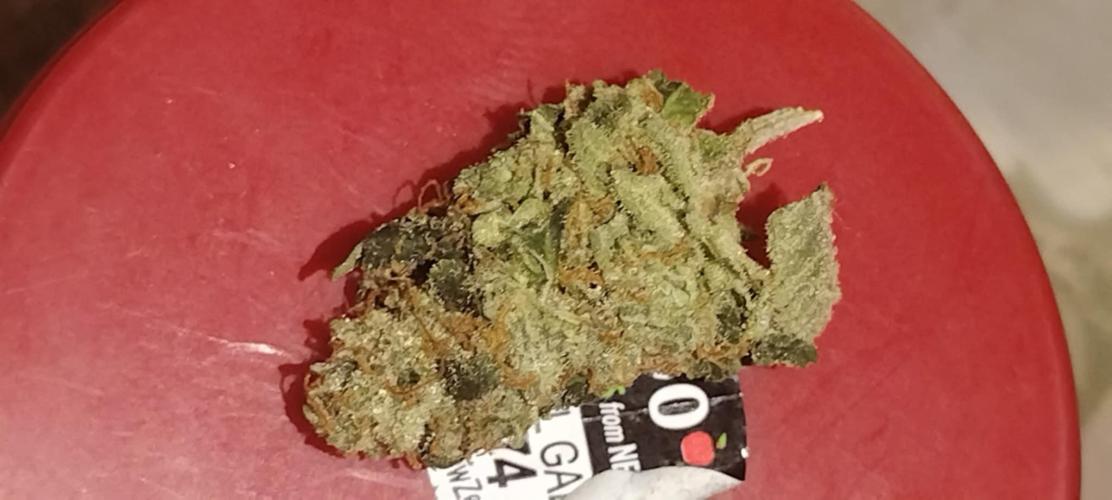 wild weed MT. Week 0