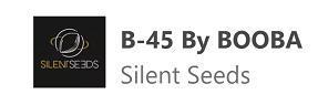 B-45 by BOOBA. Week 0