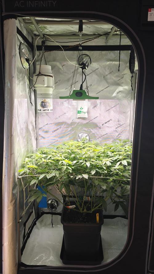B-45 by BOOBA. Week 14