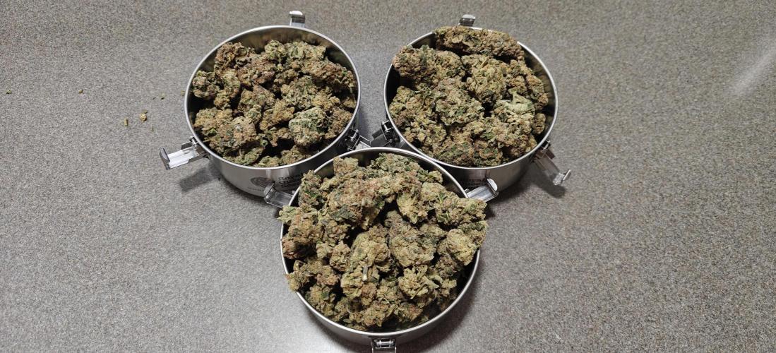 B-45 by BOOBA - Seed. Week 24 - Total