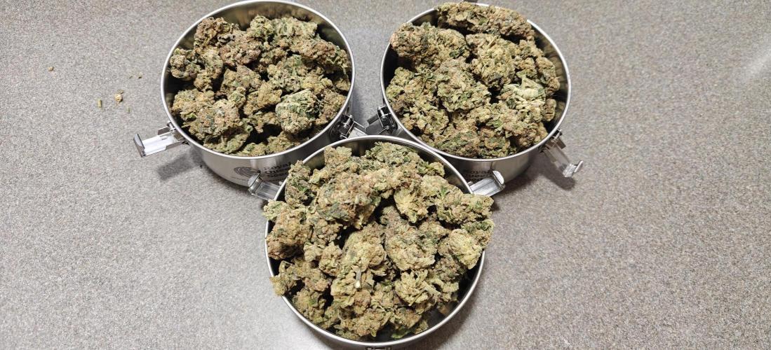 B-45 by BOOBA - Seed. Week 24 - Total