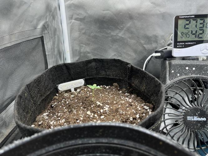 BSF 14/01/2026. Week 1