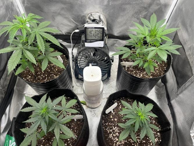 BSF 14/01/2026. Week 3