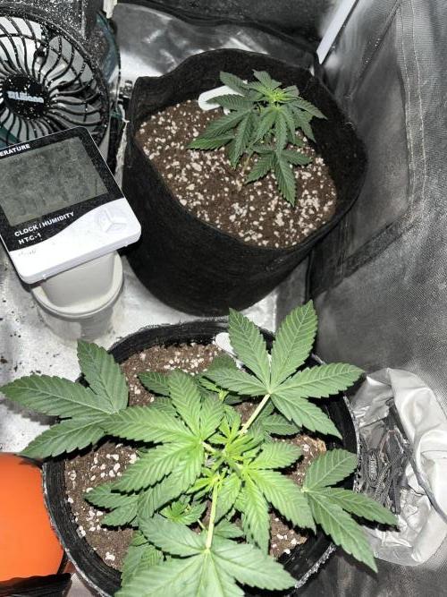 BSF 14/01/2026. Week 3