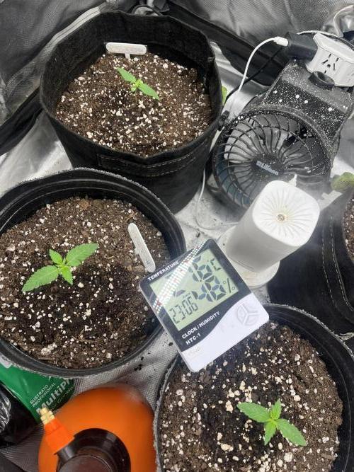 BSF 14/01/2026. Week 1