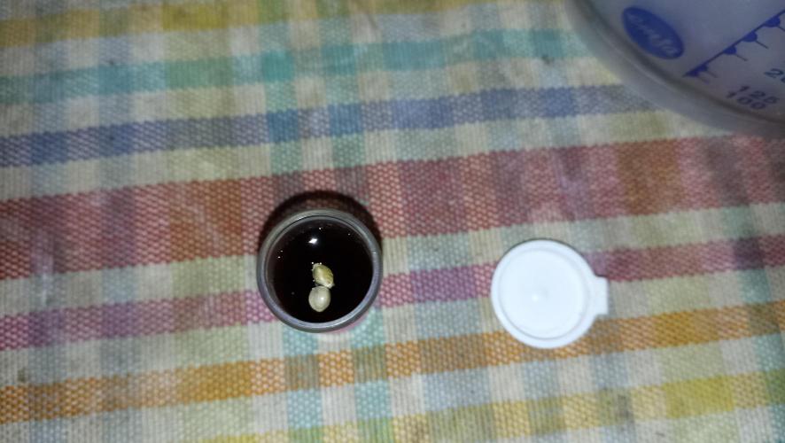 LSD - sponsored by Ganja Farmer. Week 0 - 28/10/2025