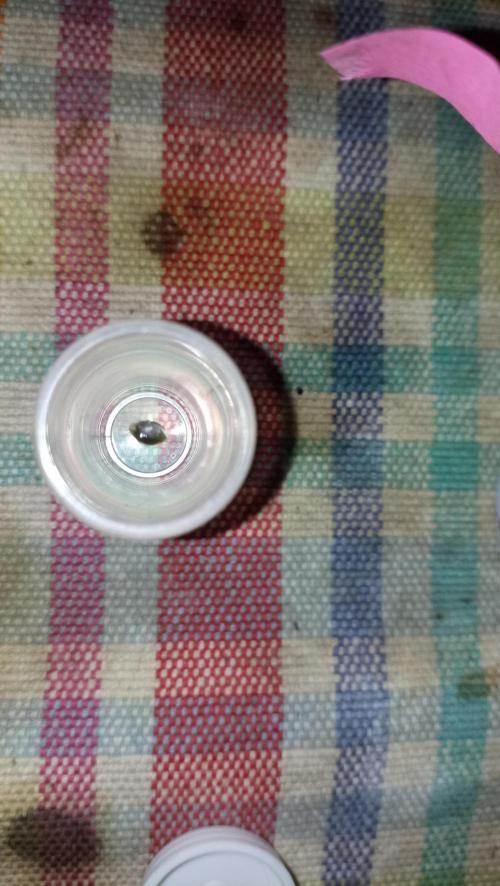 LSD - sponsored by Ganja Farmer. Week 0 - 02/11/2025
the third