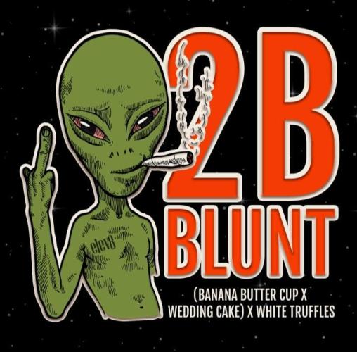 2 B Blunt. Week 0