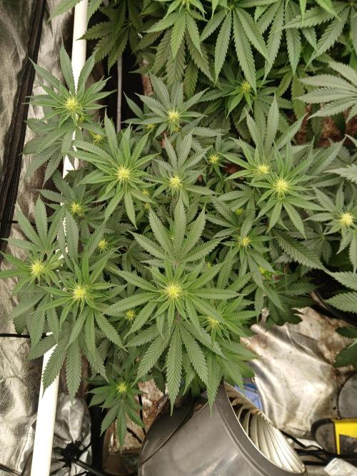 Quikz. Week 9