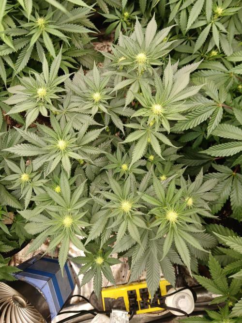 Quikz. Week 9
