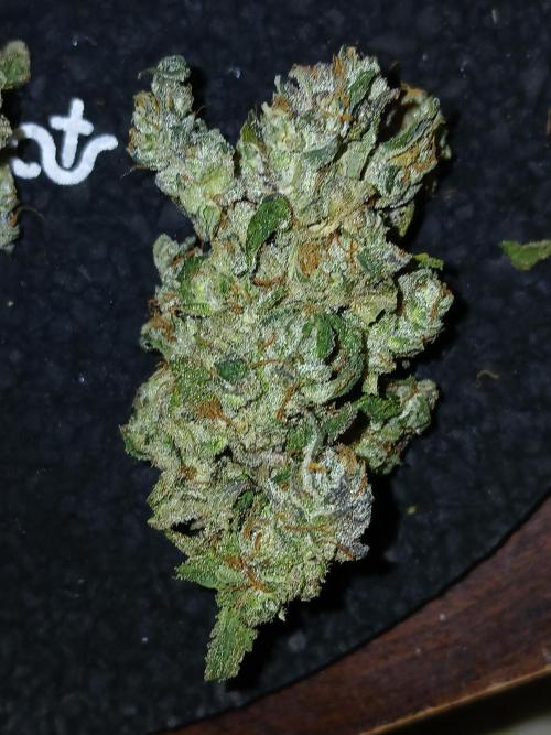 2 B Blunt. Week 16
