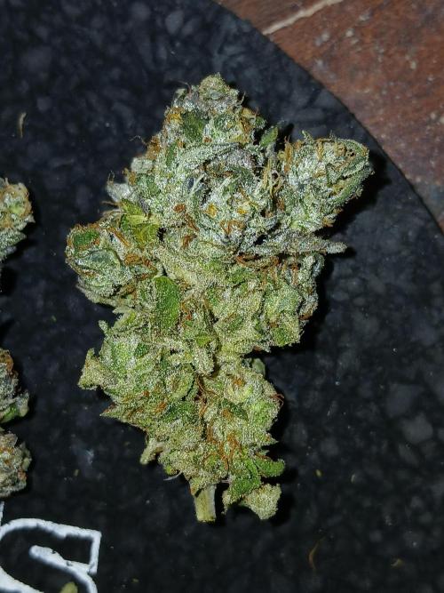 2 B Blunt. Week 16