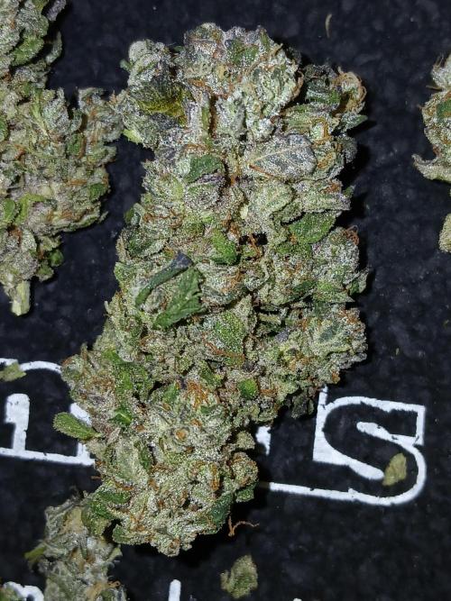 2 B Blunt. Week 16