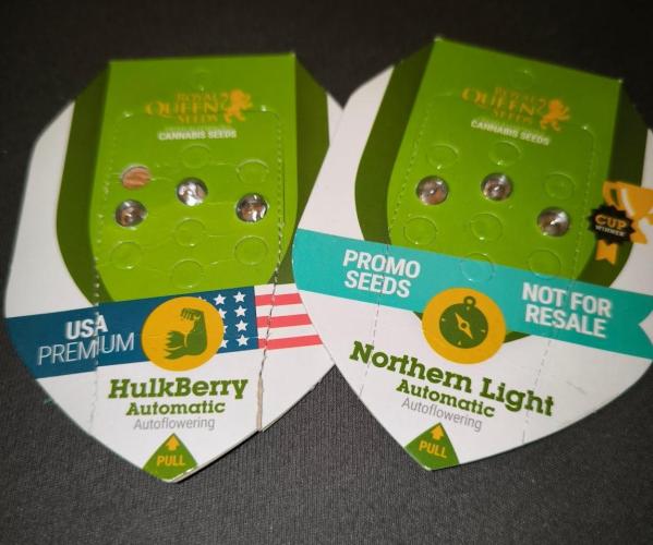 Hulkberry Auto & Northern Light Auto. Week 0 - Semena koupena 21.6.2022