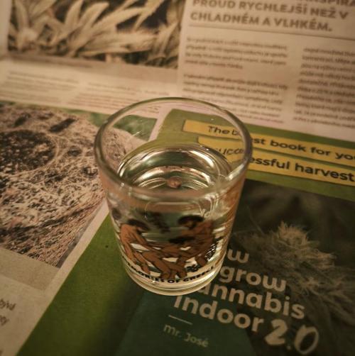 Hulkberry Auto & Northern Light Auto. Week 0 - 18.1. - 20:00