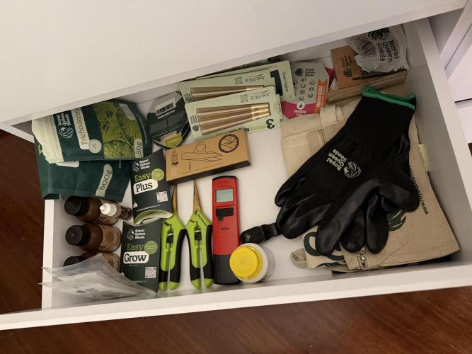 Atlas-RoyalJack. Week 1 - My royal  drawer 😬
