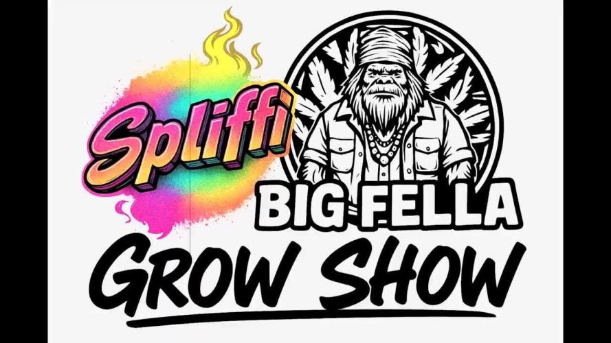 Youtube Grow Fastbuds 420