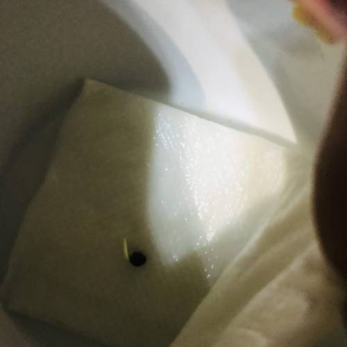 60 day lemon . Week 1