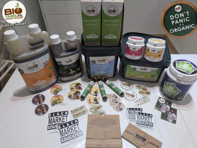 GG4 Fastbuds!. Week 5