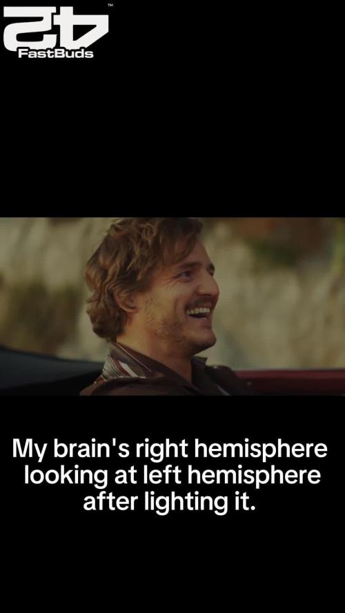 LemonPaya by FastBuds!