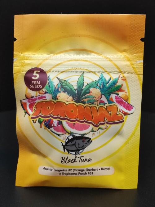 AC Infinity 3x3 grow. Week 0