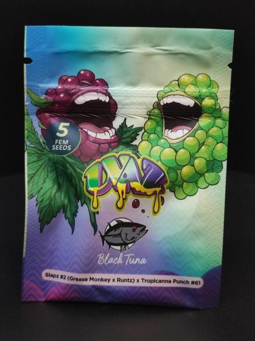 AC Infinity 3x3 grow. Week 0