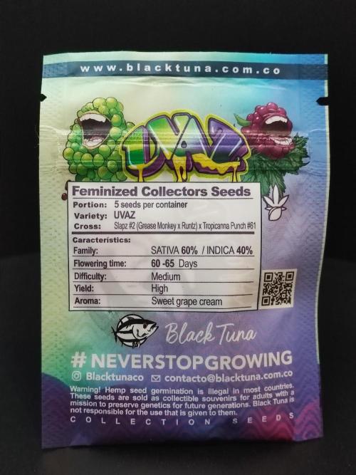 AC Infinity 3x3 grow. Week 0