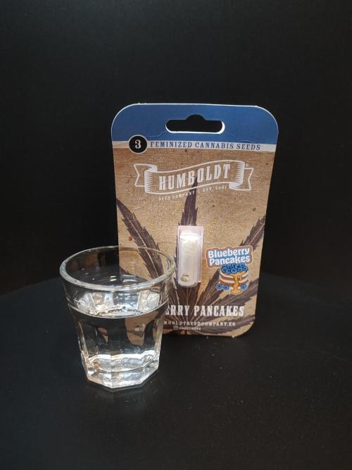 AC Infinity 3x3 grow. Week 0 - BP germination