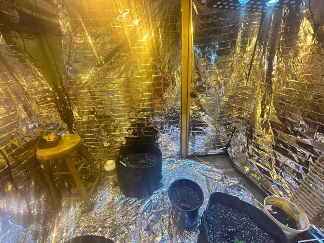 My first hybrid grow room!!. Week 1