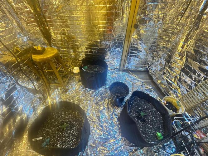 My first hybrid grow room!!. Week 1