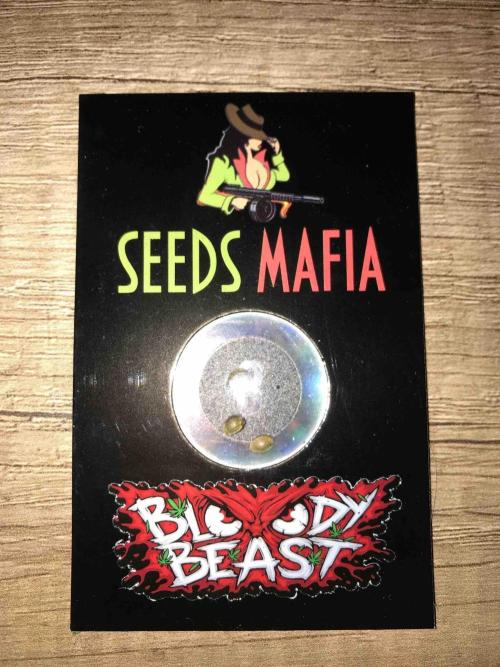 Seeds Mafia Bloody Beast. Week 0