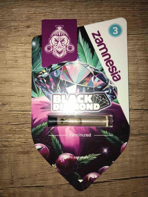 Zamnesia Black Diamond Grow. Week 0