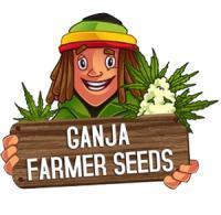 Seeds Mafia Sponsor Growing. Week 4