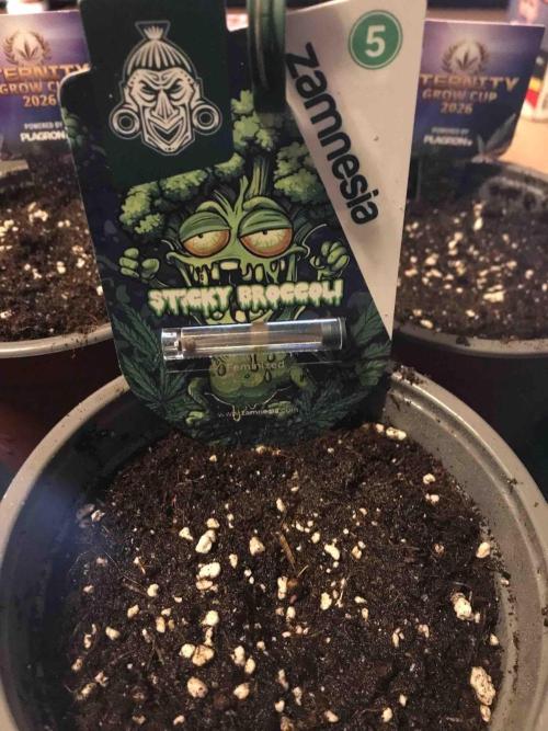 Eternity Grow Cup 2026. Week 0 - #4
Tag:5