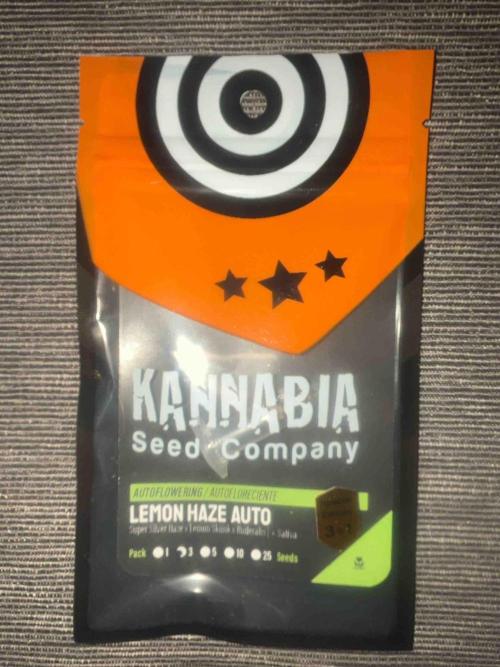 Kannabia Sponsor Grow. Week 0