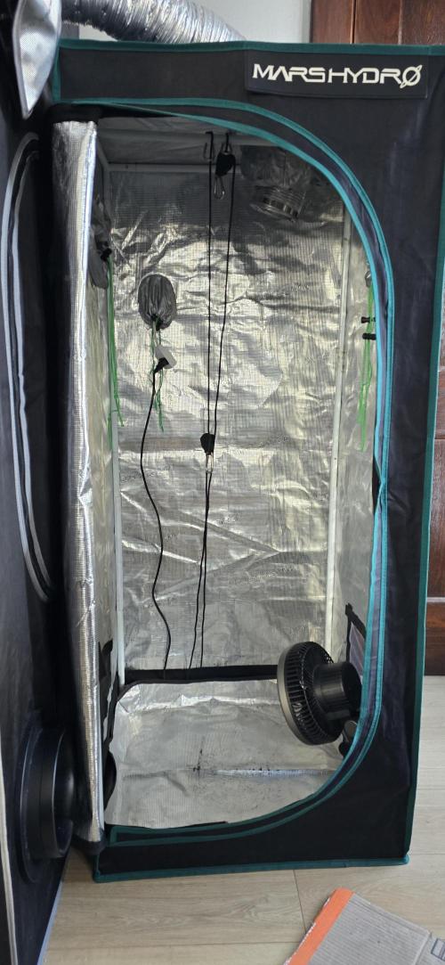 Papaya/Lemon Cherry Cookies. Week 11 - 12/12/2025 
Dry Tent Setup