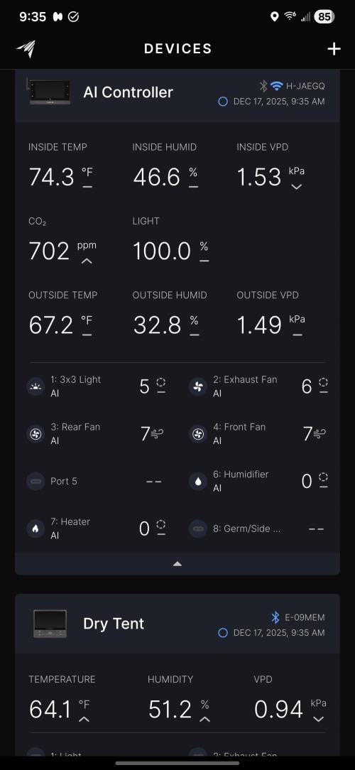 Papaya/Lemon Cherry Cookies. Week 12 - 12/17/2025 
Papaya Cookies 
Day 2 