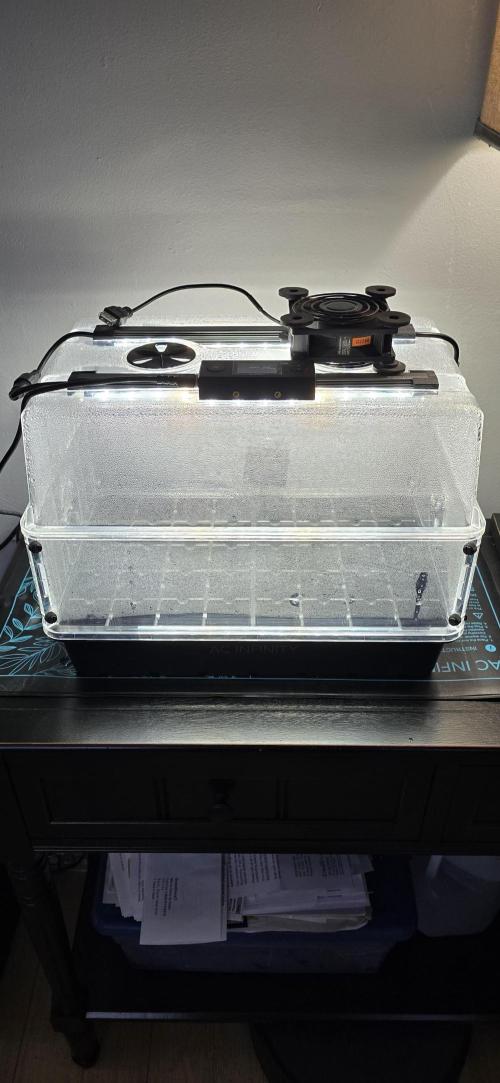 Apple Strudel FastBuds. Week 0 - 12/19/2025 
Germination System 